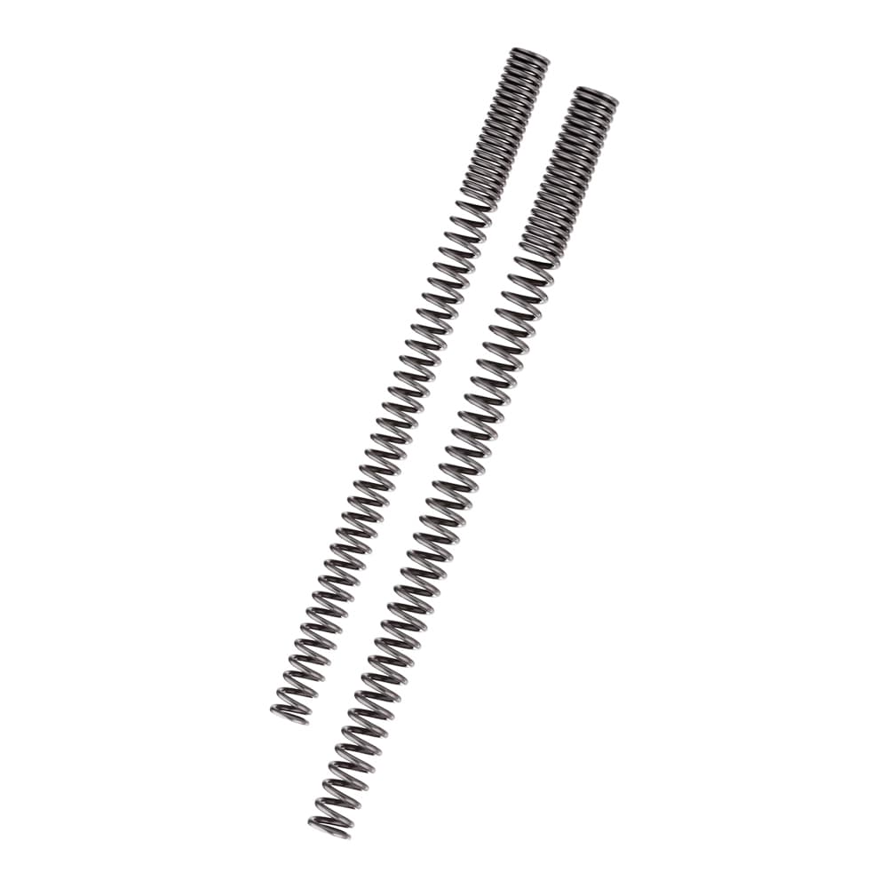 Wirth progressive fork springs BMW F800 R and R80 R Paralever | Dapper Motor